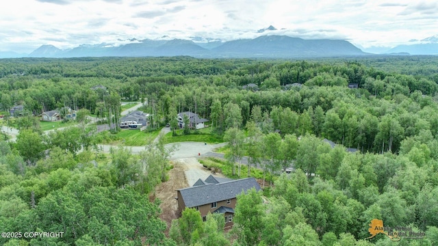 10197 E Delia Ridge Cir, Palmer, AK 99645 - photo 9