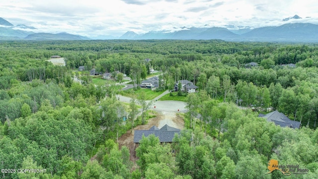 10197 E Delia Ridge Cir, Palmer, AK 99645 - photo 11