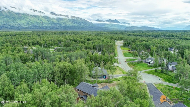 10197 E Delia Ridge Cir, Palmer, AK 99645 - photo 12
