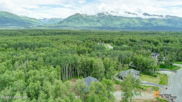 10197 E Delia Ridge Cir, Palmer, AK 99645 - photo 13