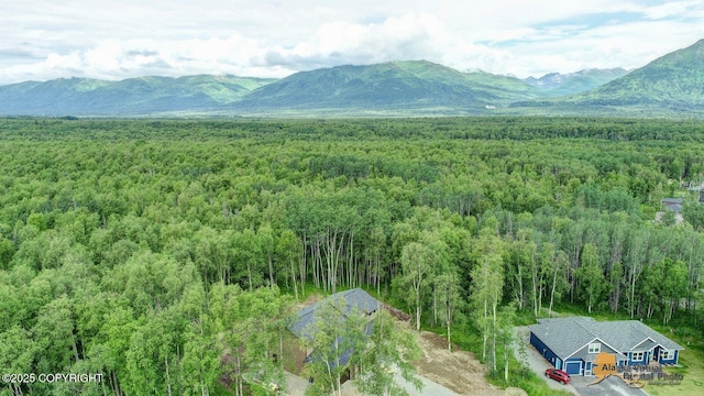 10197 E Delia Ridge Cir, Palmer, AK 99645 - photo 14