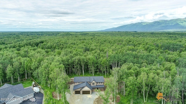 10197 E Delia Ridge Cir, Palmer, AK 99645 - photo 15
