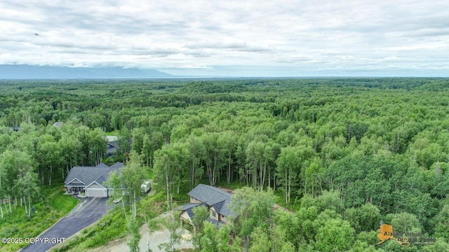 10197 E Delia Ridge Cir, Palmer, AK 99645 - photo 16