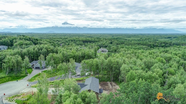 10197 E Delia Ridge Cir, Palmer, AK 99645 - photo 17