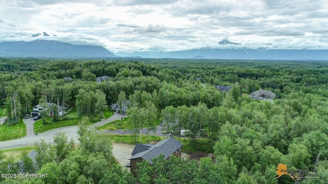 10197 E Delia Ridge Cir, Palmer, AK 99645 - photo 18