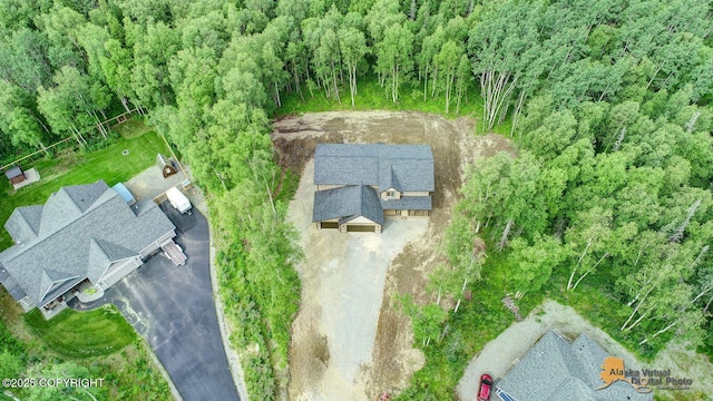 10197 E Delia Ridge Cir, Palmer, AK 99645 - photo 6