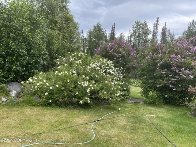 38380 Robinson Loop Rd, Sterling, AK 99672 - photo 10