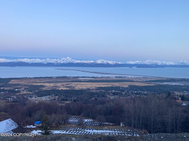 1857 Skyline Dr, Homer, AK 99603