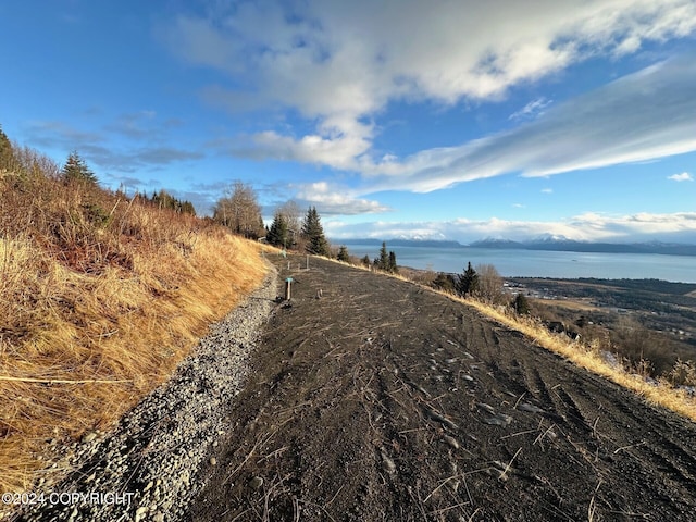 1857 Skyline Dr, Homer, AK 99603