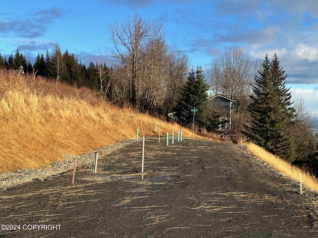 1857 Skyline Dr, Homer, AK 99603