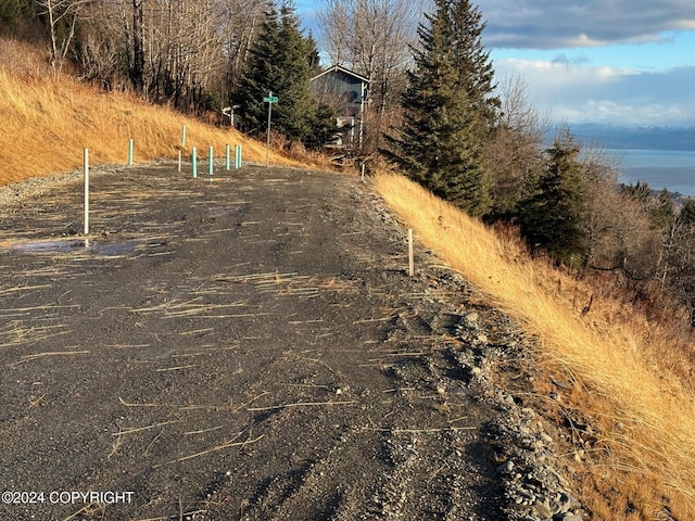 1857 Skyline Dr, Homer, AK 99603