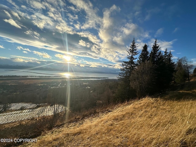 1857 Skyline Dr, Homer, AK 99603