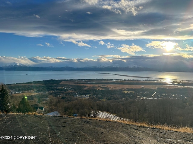 1857 Skyline Dr, Homer, AK 99603