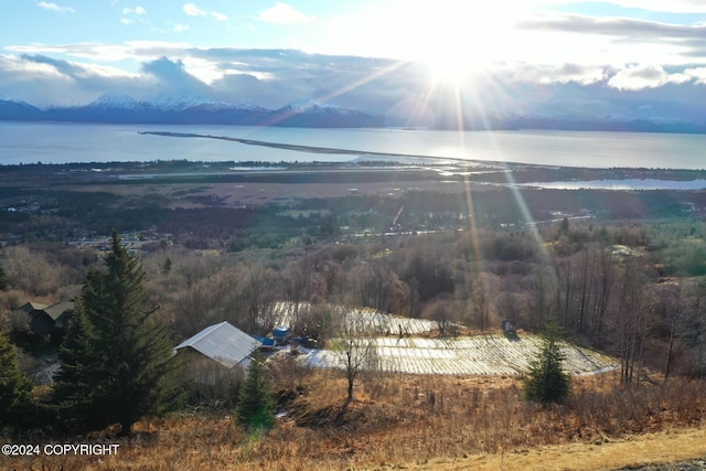 1857 Skyline Dr, Homer AK, 99603 land for sale