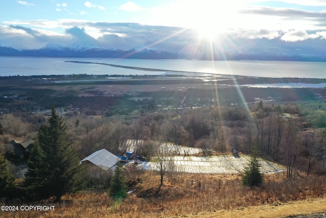 1857 Skyline Dr, Homer, AK 99603
