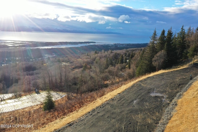 1857 Skyline Dr, Homer, AK 99603