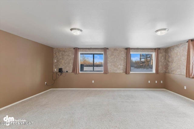 unfurnished room featuring carpet flooring