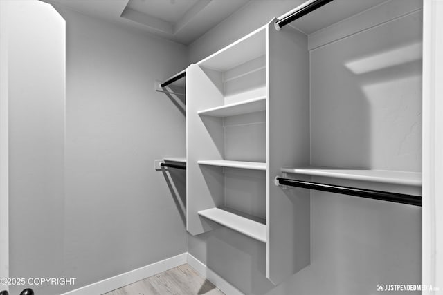 spacious closet featuring light hardwood / wood-style flooring