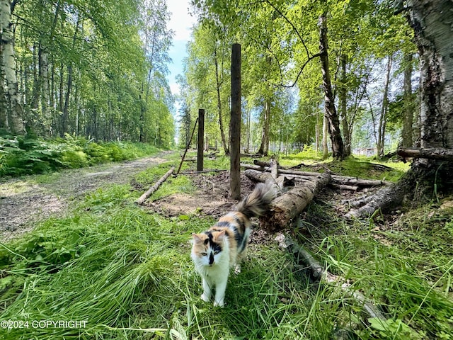 view of nature