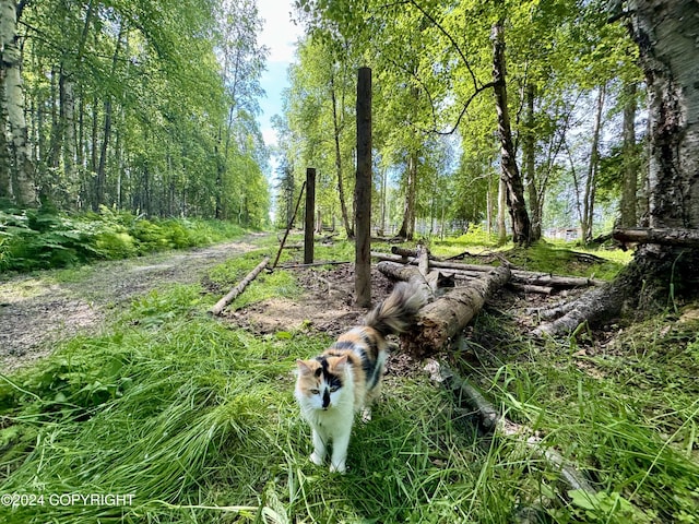 32500 Talkeetna Spur Rd, Talkeetna, AK 99676 - view of nature