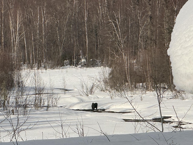32500 Talkeetna Spur Rd, Talkeetna, AK 99676 - view of yard layered in snow