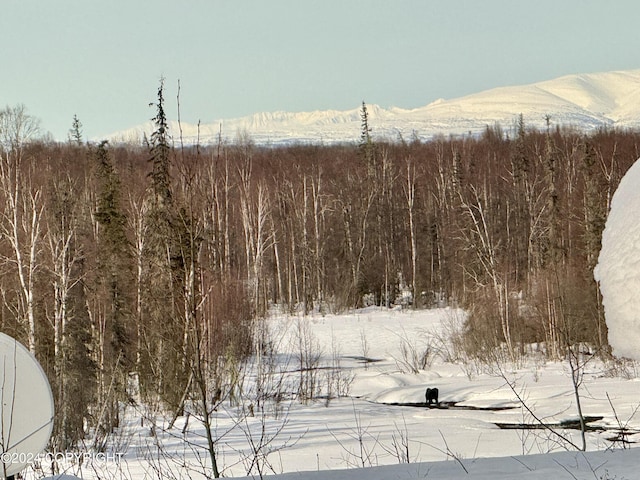 32500 Talkeetna Spur Rd, Talkeetna, AK 99676 - mountain view