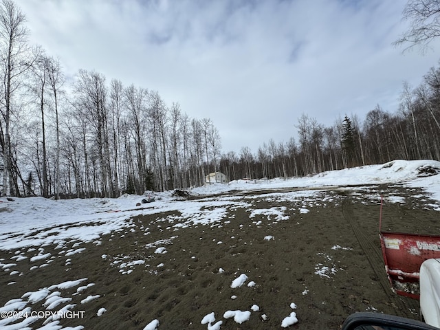 32500 Talkeetna Spur Rd, Talkeetna, AK 99676 - view of yard covered in snow
