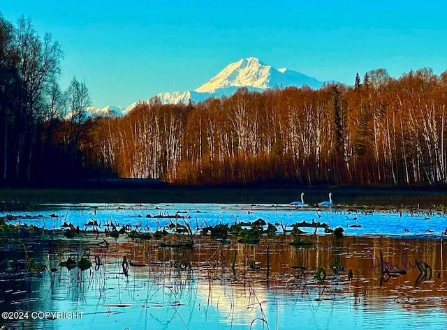 32500 Talkeetna Spur Rd, Talkeetna, AK 99676 - water view with a forest