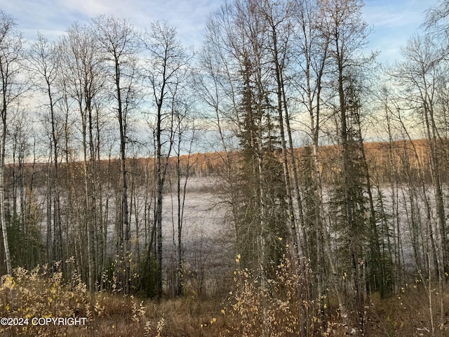 32500 Talkeetna Spur Rd, Talkeetna, AK 99676 - water view