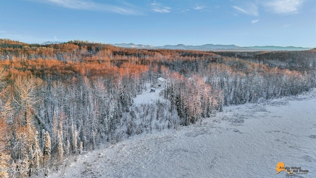 32500 Talkeetna Spur Rd, Talkeetna, AK 99676 - view of mountain background with a heavily wooded area