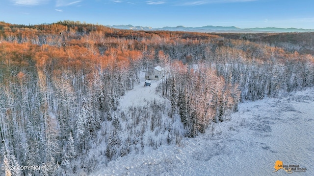 32500 Talkeetna Spur Rd, Talkeetna, AK 99676 - snowy aerial view with a forest view and a mountain view