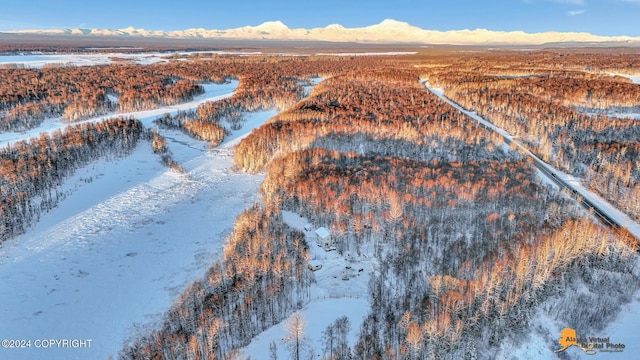 snowy aerial view featuring a mountain view