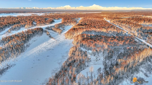 snowy aerial view featuring a mountain view