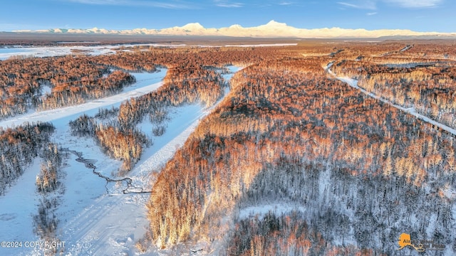 32500 Talkeetna Spur Rd, Talkeetna, AK 99676 - snowy aerial view with a mountain view