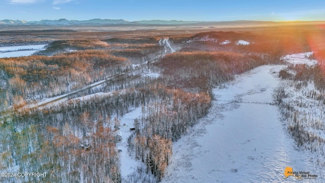 snowy aerial view featuring a mountain view