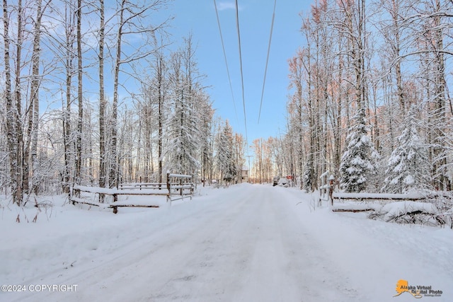 32500 Talkeetna Spur Rd, Talkeetna, AK 99676 - view of dirt / gravel road