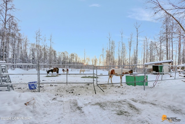32500 Talkeetna Spur Rd, Talkeetna, AK 99676 - view of yard covered in snow