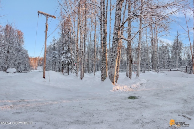 32500 Talkeetna Spur Rd, Talkeetna, AK 99676 - view of yard covered in snow