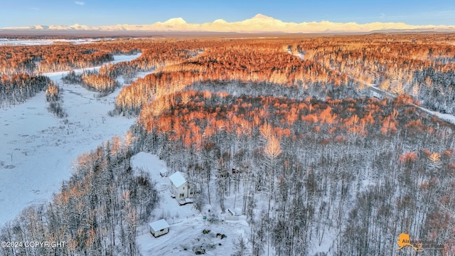 32500 Talkeetna Spur Rd, Talkeetna, AK 99676 - snowy aerial view with a mountain view and a forest view