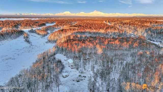 32500 Talkeetna Spur Rd, Talkeetna, AK 99676 - snowy aerial view with a mountain view and a forest view