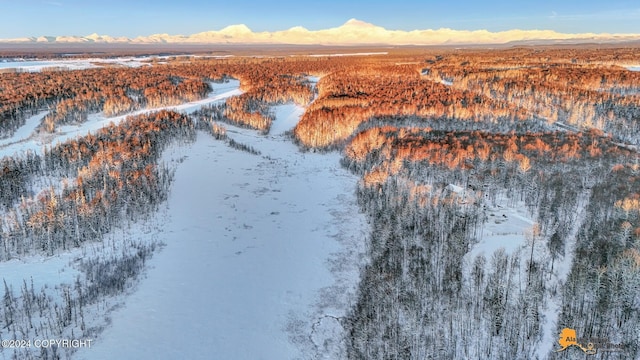 32500 Talkeetna Spur Rd, Talkeetna, AK 99676 - snowy aerial view with a mountain view