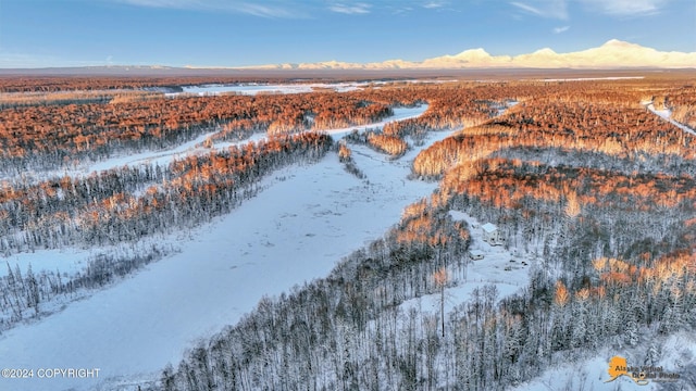 32500 Talkeetna Spur Rd, Talkeetna, AK 99676 - snowy aerial view featuring a mountain view