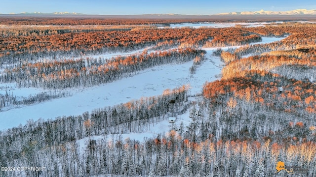 32500 Talkeetna Spur Rd, Talkeetna, AK 99676 - snowy aerial view featuring a mountain view and a view of trees