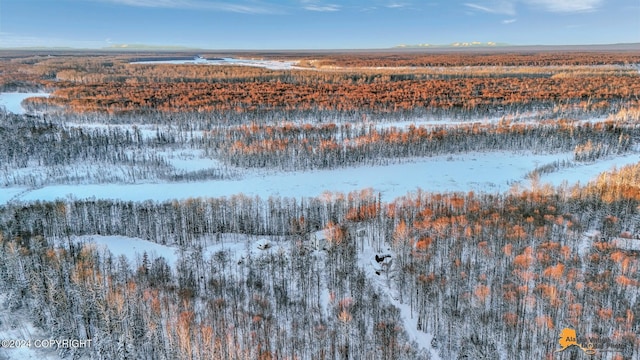 32500 Talkeetna Spur Rd, Talkeetna, AK 99676 - snowy aerial view featuring a view of trees