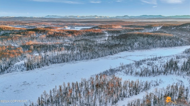 32500 Talkeetna Spur Rd, Talkeetna, AK 99676 - snowy aerial view featuring a mountain view