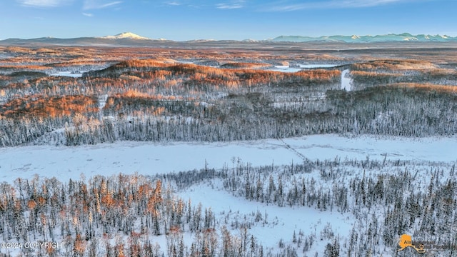 snowy aerial view featuring a mountain view