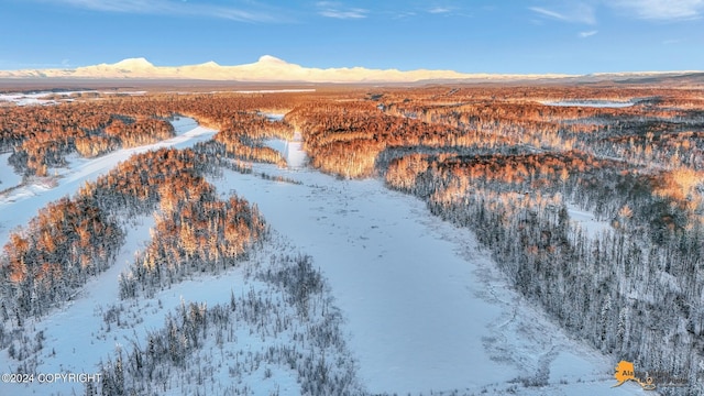 snowy aerial view with a mountain view