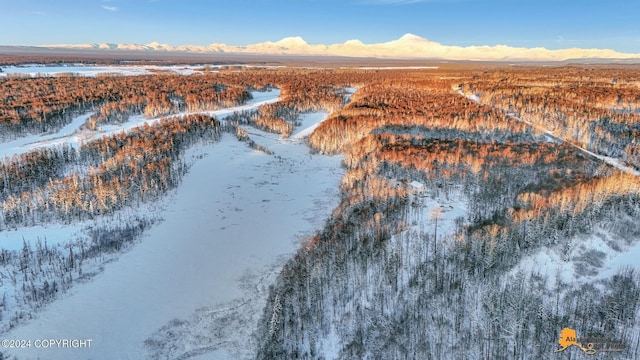 snowy aerial view with a mountain view