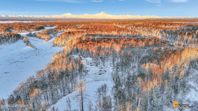 32500 Talkeetna Spur Rd, Talkeetna, AK 99676 - snowy aerial view with a mountain view and a wooded view