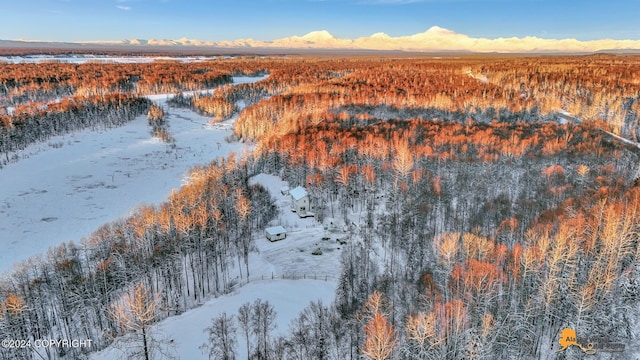32500 Talkeetna Spur Rd, Talkeetna, AK 99676 - snowy aerial view featuring a mountain view and a forest view